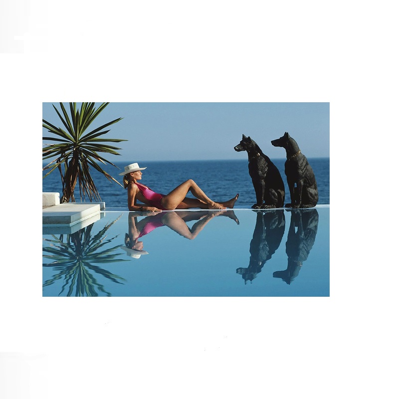 Retro Poolside Host Luxury Lif - Luxury Lifestyle Picture recensione e prezzo